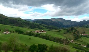 4. Fields Leaving Pamplona