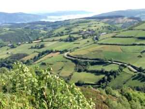 1 Galician Countryside Near Hospital